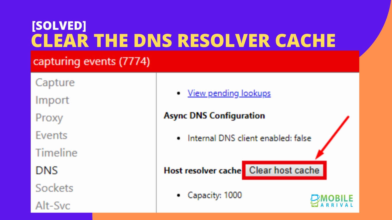 Clear The DNS Resolver Cache Flush Socket Pools In Chrome Browser