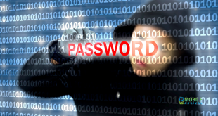 Most Frequently Hacked Passwords